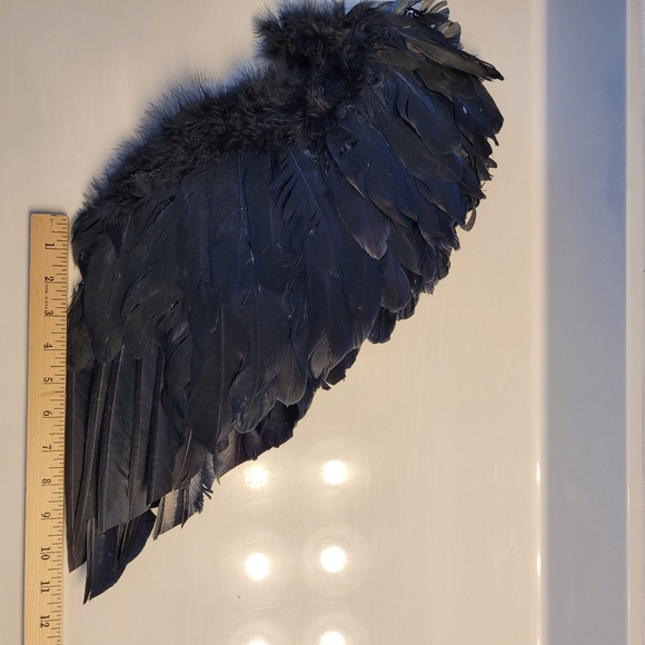 Dark Angel Wings Black Feathers Posable Cosplay Or Display - Picture 6 of 16